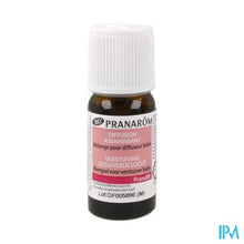 Afbeelding in Gallery-weergave laden, Pranarom Pranabb Gezuiverde Lucht Baby Verst. 10ml