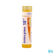 Afbeelding in Gallery-weergave laden, Ambra Grisea 15ch Gr 4g Boiron