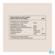 Afbeelding in Gallery-weergave laden, Metis A/stress 03 Eco Refill Caps 30