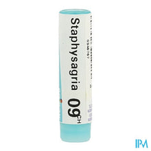 Charger l'image dans la galerie, Staphysagria 9ch Gl Boiron