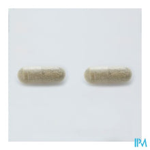 Afbeelding in Gallery-weergave laden, Arkocaps Bacopa Plantaardig 45