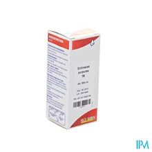 Load image into Gallery viewer, Echinacea Purpurea Tm 60ml Boiron