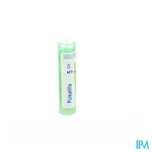 Afbeelding in Gallery-weergave laden, Pulsatilla 5ch Gr 4g Boiron