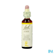 Charger l'image dans la galerie, Bach Flower Remedie 13 Gorse 20ml
