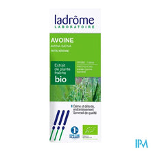 Afbeelding in Gallery-weergave laden, Ladrome Avena Sativa/haver 50ml