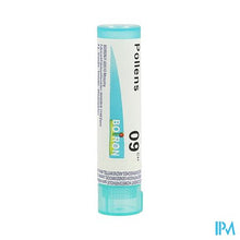 Afbeelding in Gallery-weergave laden, Pollens 9ch Gr 4g Boiron