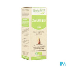 Charger l'image dans la galerie, Herbalgem Zwarte Bes Maceraat 15ml