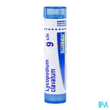 Afbeelding in Gallery-weergave laden, Lycopodium Clavatum 9ch Gr 4g Boiron