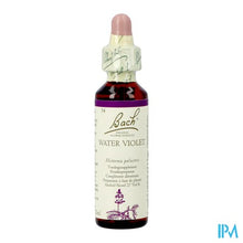 Charger l'image dans la galerie, Bach Flower Remedie 34 Water Violet 20ml