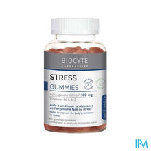 Afbeelding in Gallery-weergave laden, Biocyte Stress Gommes 60