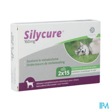 Afbeelding in Gallery-weergave laden, Silycure 160mg Comp 2x15