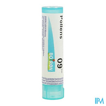 Afbeelding in Gallery-weergave laden, Pollens 9ch Gr 4g Boiron