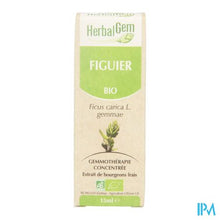 Charger l'image dans la galerie, Herbalgem Vijgenboom Maceraat 15ml