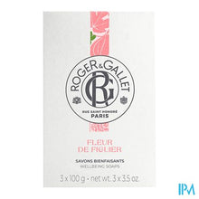 Load image into Gallery viewer, Roger&gallet Fleur De Figuier Doos 3 Zepen 100g