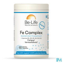 Load image into Gallery viewer, Fe Complex Minerals Be Life Nf Gel 60