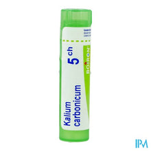 Afbeelding in Gallery-weergave laden, Kalium Carbonicum 5ch Gr 4g Boiron