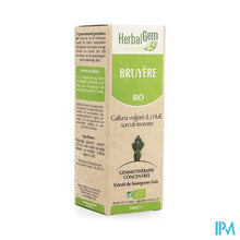 Charger l'image dans la galerie, Herbalgem Struikhei Unitair Moedermaceraat 50ml