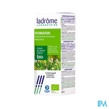 Afbeelding in Gallery-weergave laden, Ladrome Rosmarinus Officinalis/rozemarijn 50ml