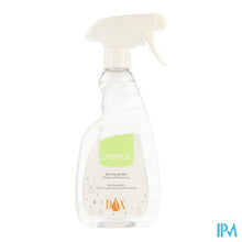 Load image into Gallery viewer, Dax Ozinex Desodorisant Spring Garden 700ml