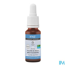 Charger l'image dans la galerie, Bachbloesem Bio N°42 Druppels Zelfvertrouwen 20ml