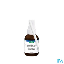 Afbeelding in Gallery-weergave laden, A.vogel Spray Kriebel In De Keel 30ml