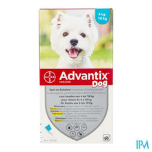 Afbeelding in Gallery-weergave laden, Advantix 100/ 500 Honden 4<10kg Fl 6x1,0ml