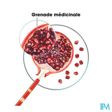 Afbeelding in Gallery-weergave laden, Klorane Capil. Sh Granaatappel 400ml