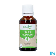 Afbeelding in Gallery-weergave laden, Herbalgem Vijgenboom Bio 30ml