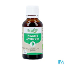 Afbeelding in Gallery-weergave laden, Herbalgem Appelboom Bio 30ml