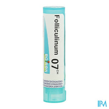 Afbeelding in Gallery-weergave laden, Folliculinum 7ch Gr 4g Boiron
