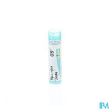 Afbeelding in Gallery-weergave laden, Spongia Tosta 9ch Gr 4g Boiron