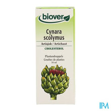 Load image into Gallery viewer, Artisjok Tinct Bio 50ml Biov