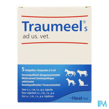 Load image into Gallery viewer, Traumeel S Ad Us.vet Amp 5x5,0ml