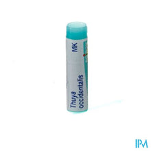 Charger l'image dans la galerie, Thuya Occidentalis Mk Gl Boiron