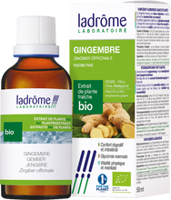 Afbeelding in Gallery-weergave laden, Ladrome Zingiber Officinalis/gember 50ml