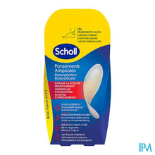 Charger l'image dans la galerie, Scholl Blarenpleister Grote Hielpleist. Z/latex 5