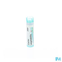 Afbeelding in Gallery-weergave laden, Carbo Vegetabilis 200k Gr 4g Boiron