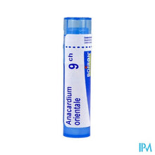 Afbeelding in Gallery-weergave laden, Anacardium Orientale 9ch Gr 4g Boiron