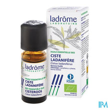 Afbeelding in Gallery-weergave laden, Ladrome Cistus Ladaniferus - Cisteroos 10ml
