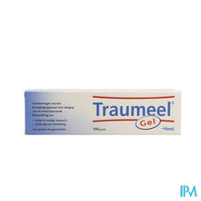 Charger l'image dans la galerie, Traumeel Gel 100g Heel