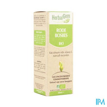 Charger l'image dans la galerie, Herbalgem Rode Bosbes Maceraat 50ml
