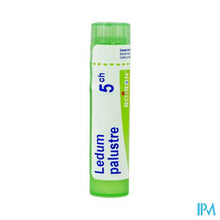 Afbeelding in Gallery-weergave laden, Ledum Palustre 5ch Gr 4g Boiron