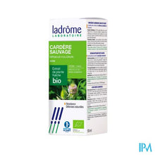 Afbeelding in Gallery-weergave laden, Ladrome Dipsacus Fullonum Wortel/gr.kaardebol 50ml