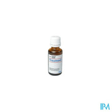 Charger l'image dans la galerie, Traumeel S Druppels 30ml Heel