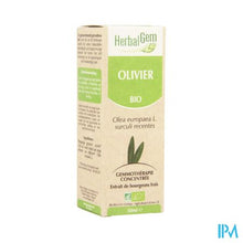 Load image into Gallery viewer, Herbalgem Olijfboom Maceraat 50ml