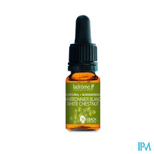 Charger l'image dans la galerie, Ladrome Paardekastanje/white Chestnut 10ml