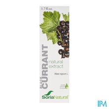 Charger l'image dans la galerie, Soria Ribes nigrum extr. glyc. 50 ml
