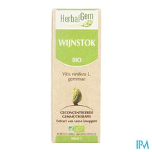 Charger l'image dans la galerie, Herbalgem Wijnstok Maceraat 50ml