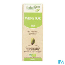 Charger l'image dans la galerie, Herbalgem Wijnstok Maceraat 50ml