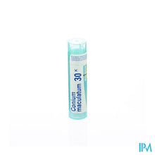 Afbeelding in Gallery-weergave laden, Conium Maculatum 30k Gr 4g Boiron